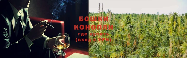 прущие крисы Белокуриха