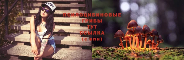 прущие крисы Белокуриха