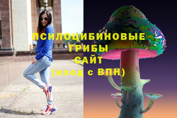 прущие крисы Белокуриха