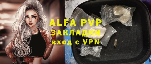 прущие крисы Белокуриха
