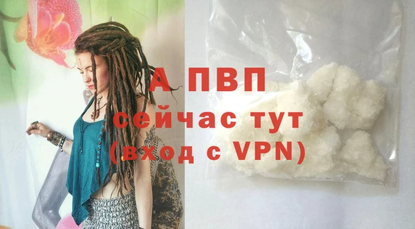 прущие крисы Белокуриха