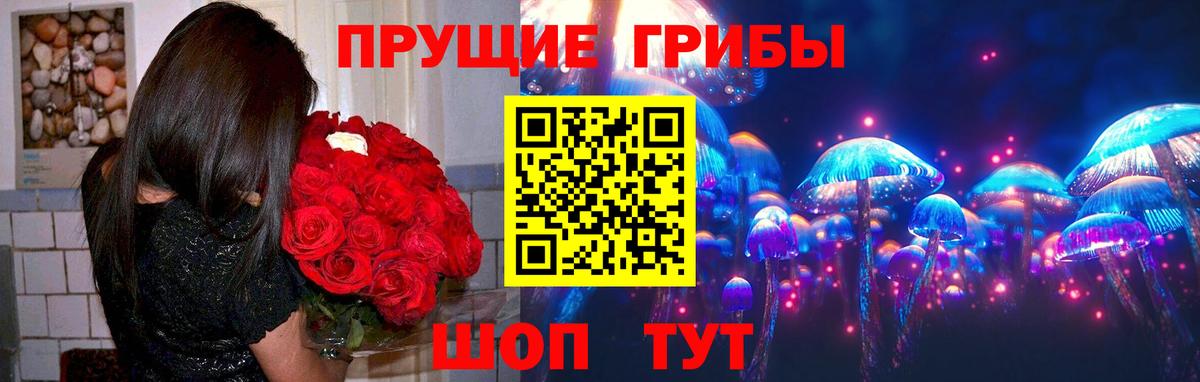 Верхний Уфалей  Псилоцибиновые грибы прущие грибы  Вход с VPN 